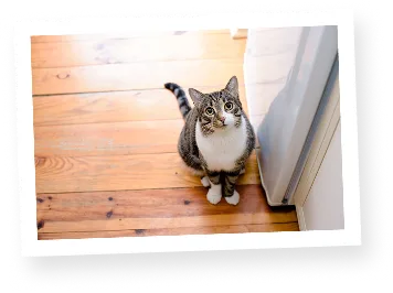 個人住宅美観復元